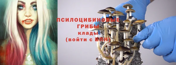 прущие грибы Волосово