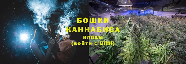 прущие грибы Волосово
