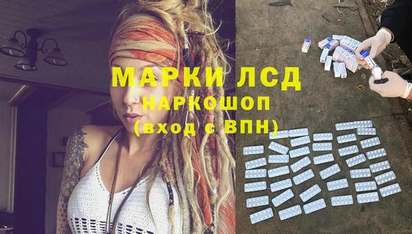 spice Верея