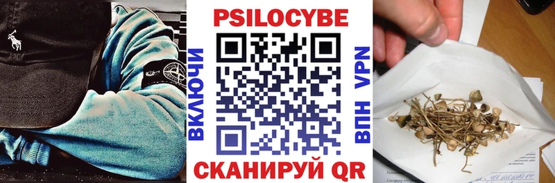 KRAKEN ТОР  Гаврилов-Ям  Псилоцибиновые грибы ЛСД 